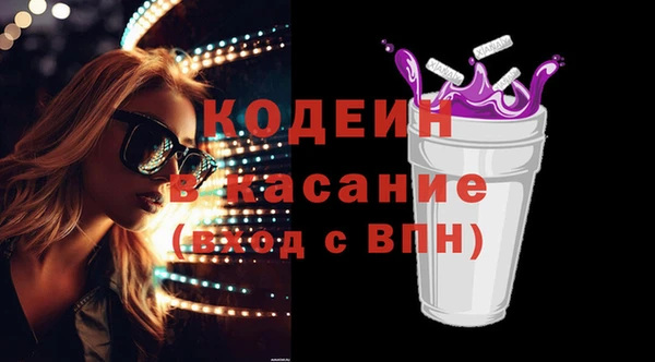 соль ск Кукмор