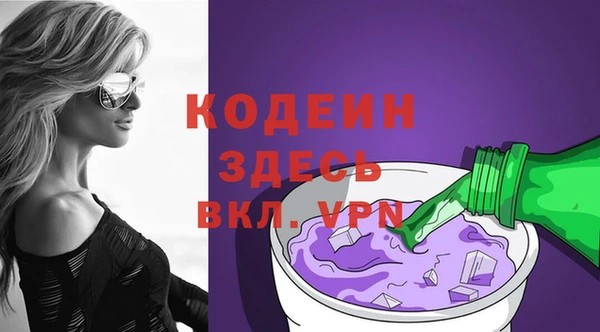 соль ск Кукмор