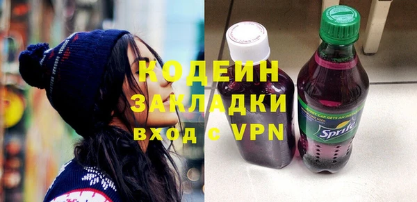 соль ск Кукмор