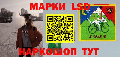 шишки Гатчина