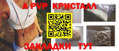 шишки Гатчина