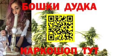 шишки Гатчина